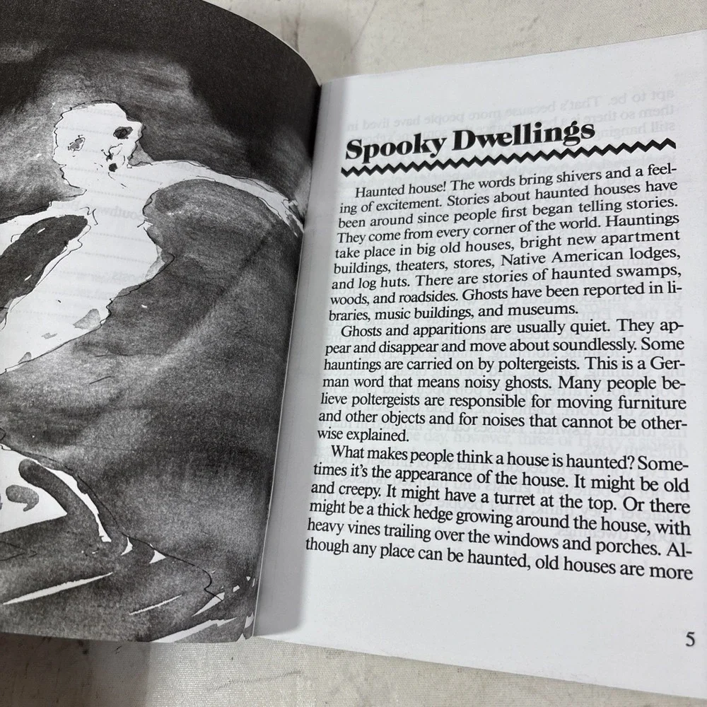 Incredible Histories Haunted Houses Lean Sotnak Scholastic